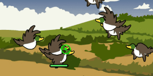 Hra - Bird Blast