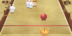 Hra - Kočičí bowling