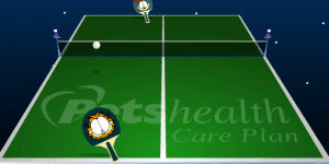 Hra - Garfield ping-pong