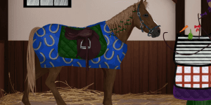 Hra - Pimp my Horse