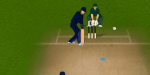 Hra - Online Cricket 2011
