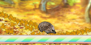 Hra - Forest Hedgehog