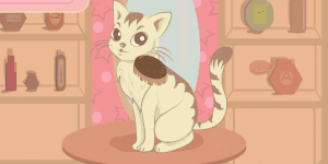 Hra - My Pretty Kitty Care