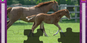 Hra - Jigsaw World Horses