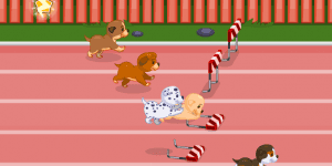 Hra - Puppy Racer