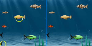Fishing Difference