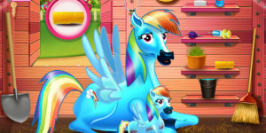 Rainbow Dash Pony And The Newborn Baby