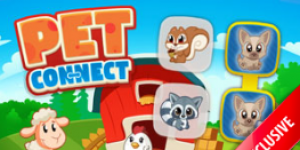 Hra - Pet Connect